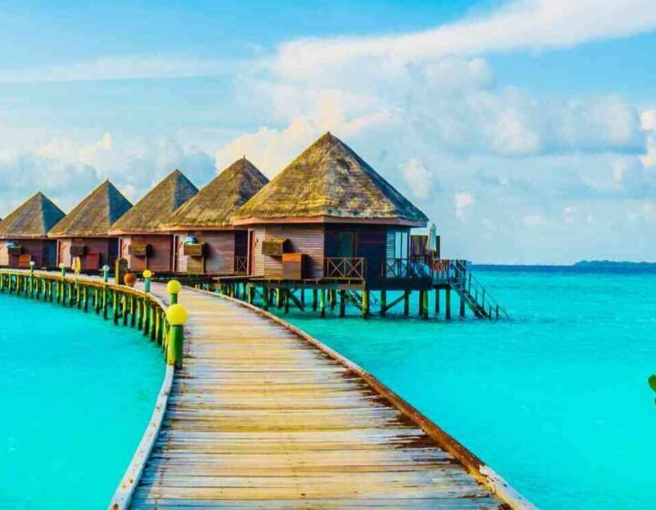 Magical Maldivies